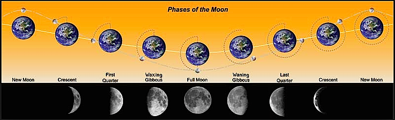 Moon Cycle