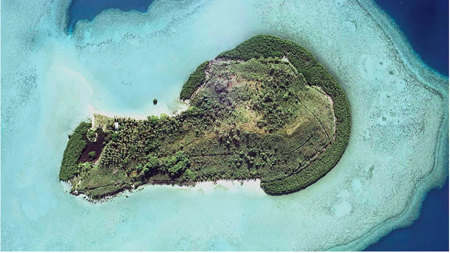 Penis Island