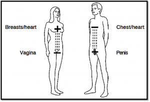 Sexual Energy flow