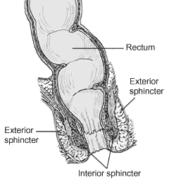 Anal sensitivity in women