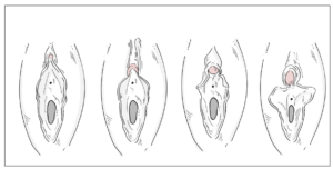 Pleasuring The Clitoris-ConfidentLovers.com