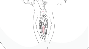 Pleasuring The Clitoris -ConfidentLovers.com