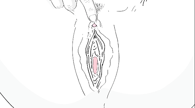 Pleasuring The Clitoris -ConfidentLovers.com
